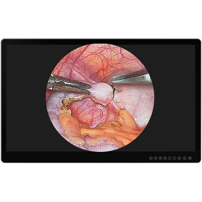 Lilliput Aimedik MD31 Monitor Quirúrgico UHD 4K 31.5" HDR 10-Bit DICOM