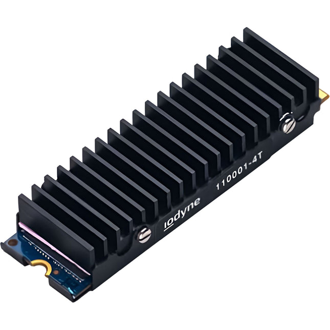 iodyne Módulo SSD de Repuesto 4TB para Almacenamiento Externo