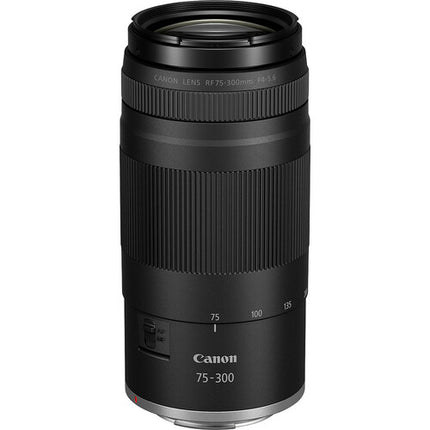 Canon EOS R100 Cámara sin Espejo 24.2MP Lentes 18-45mm 75-300mm Bolsa Negra