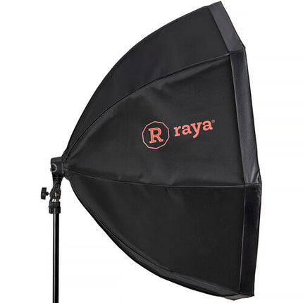 Raya LED-OX-RGB Lámpara LED Dual RGB y Bi-Color 4440 Lux 3000-5500K con Octabox y Control Remoto
