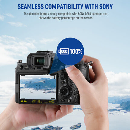 Neewer NP-FZ100 Kit Doble Batería y Cargador con Pantalla LED y Soporte SD