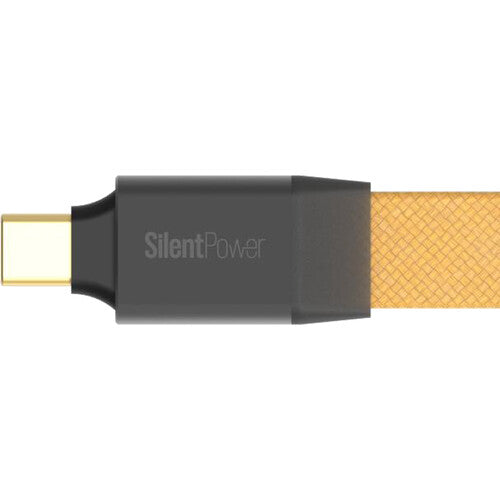 iFi audio Pulsar Cable USB-C Galvanizado con ANC 3.3 pies 10 Gb/s 40 dB reducción ruido