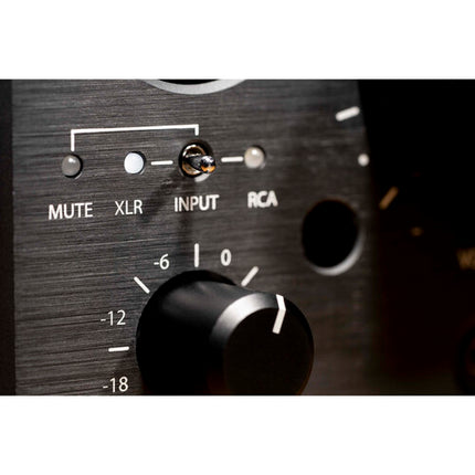 Violectric HPA V324 amplificador de auriculares balanceado 5000mW 740mW