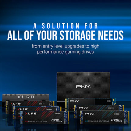 PNY 250GB CS900 SSD Interno SATA III 2.5" 535 MB/s Lectura 500 MB/s Escritura