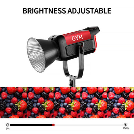 GVM Pro SD200B Monoluz LED Bicolor 200W 45400 Lux 2700-6800K con Reflector y Bolsa