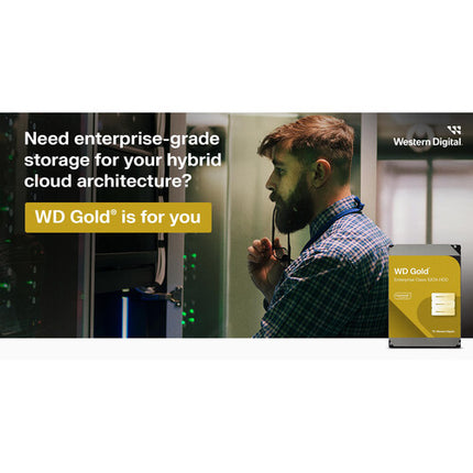 WD 6TB Gold HDD Interno Empresarial 3.5" 7200 rpm SATA III 2-Pack