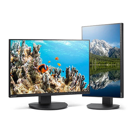 Sharp MultiSync DD-EA242W Monitor 24" Full HD+ IPS USB-C 65W