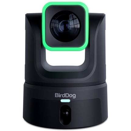 BirdDog XL Ultra Cámara PTZ 20x Zoom Óptico Sensor 4/3" Panorámica Integrada