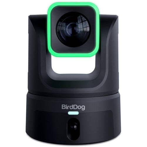 BirdDog XL Ultra Cámara PTZ 20x Zoom Óptico Sensor 4/3" Panorámica Integrada
