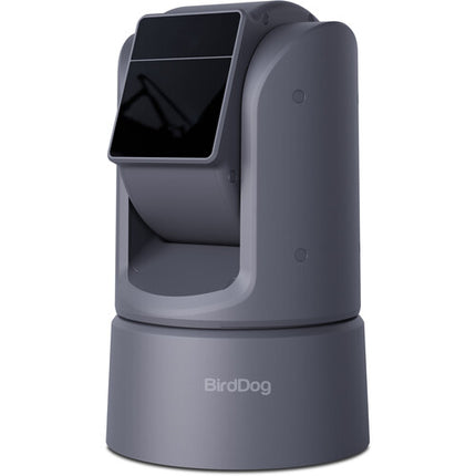 BirdDog KBD Kit Controlador PTZ con 3 Cámaras O4 30x Zoom 720p Pantalla