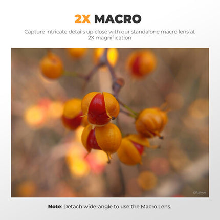 Freewell Lente Angular y Macro 2 en 1 para FUJIFILM X100 Serie con Rosca 62mm