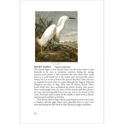 LCIX Editions Birds of South Carolina Vol. 1 Edición 1910 Clásica