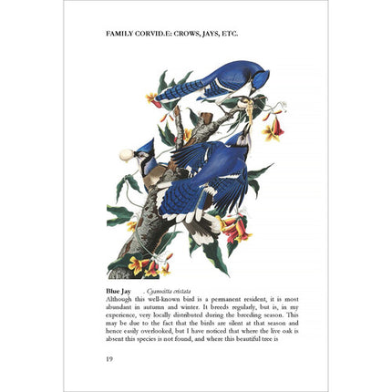 LCIX Editions Birds of South Carolina Vol 2 Libro Ilustrado Clásico 1910