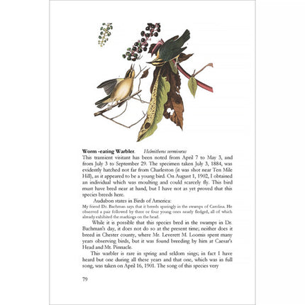 LCIX Editions Birds of South Carolina Vol 2 Libro Ilustrado Clásico 1910