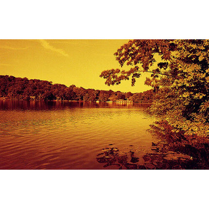 Film Photography Project Red Scale película color negativo 35mm 24 exposiciones ISO 25 DX codificada