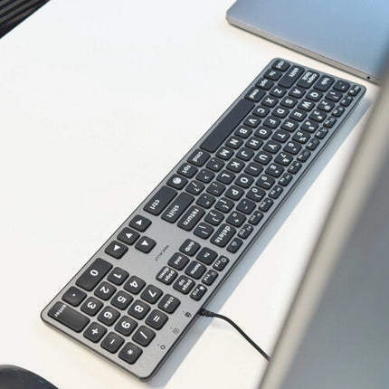 Macally Teclado Retroiluminado con Teclas Grandes USB-C a USB-A Space Gray
