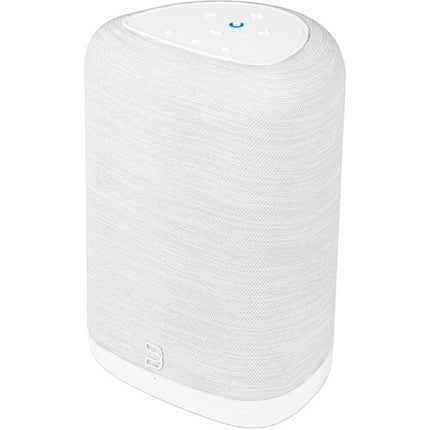 Bluesound Pulse Flex Altavoz Inalámbrico 50W Bluetooth aptX HD Gris