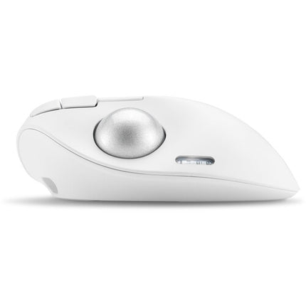 Kensington Pro Fit Ergo TB550 Ratón Trackball Blanco 1600 dpi 34mm Bola USB-A