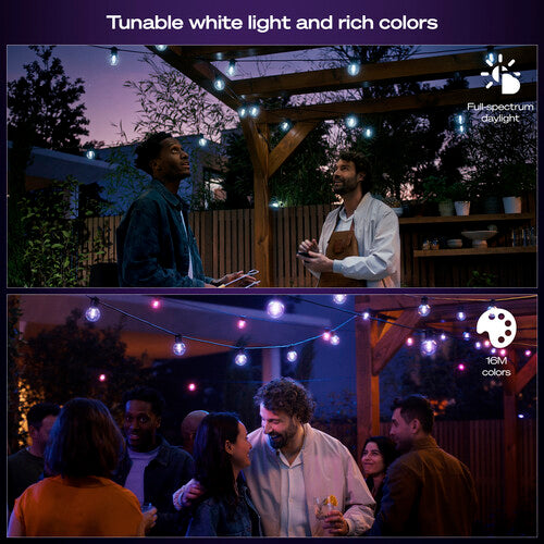 Philips Hue Festavia Globe Guirnalda Exterior 22 pies Multicolor Dimmable