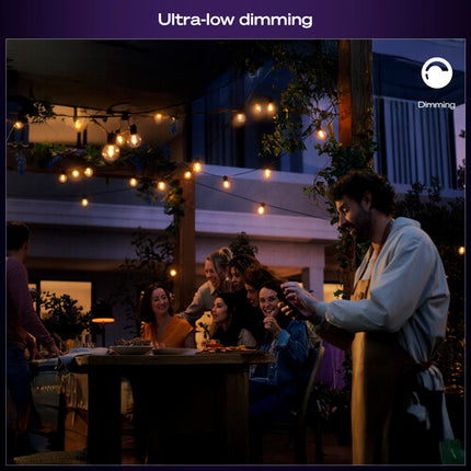 Philips Hue Festavia Guirnalda Exterior 45 pies 16 Bombillas 50 Lúmenes