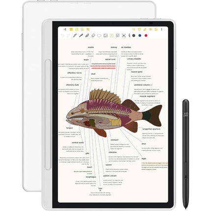 XPPen Magic Note Pad Tableta Gráfica 10.95" 1920x1200 6GB RAM 128GB Storage