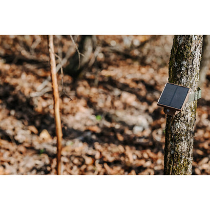 Browning Universal Paquete Solar para Cámara de Sendero 1W 2000mAh