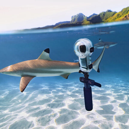 Insta360 Dive Buddy Accesorios para Buceo Profundidad 50 Metros y Tripié Submarino