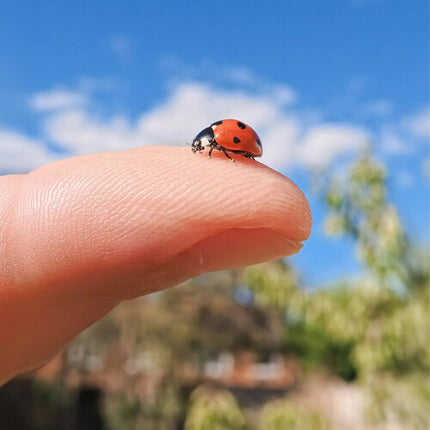 Insta360 Micro Lens para GO Ultra Lente Macro 1.97 Pulgadas de Enfoque