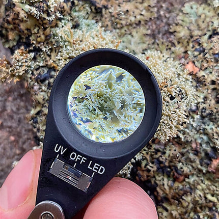 Opticron Lupa Plegable Metal 15x con LED UV 0.8" Funda PU