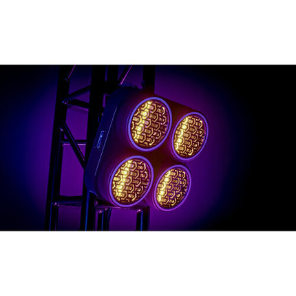 Blizzard Lux Quadra X4 Quad-Cell Blinder con 4x50W LED blanco cálido y 252 LED RGB