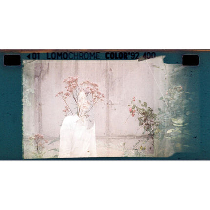 Lomography LomoChrome Color 92 película negativa 110 24 exposiciones ISO 400