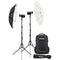 Flashes Monolight