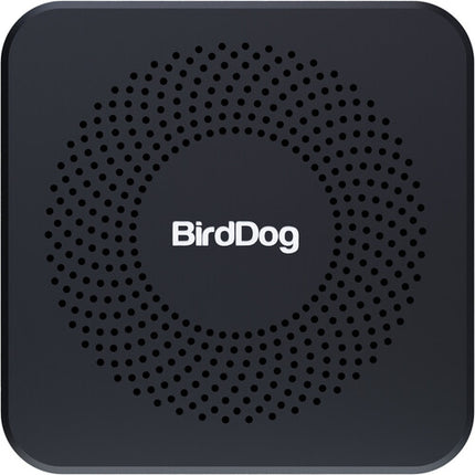 BirdDog PLAY Pro 4K Reproductor NDI UHD 4K60 Gigabit Ethernet PoE