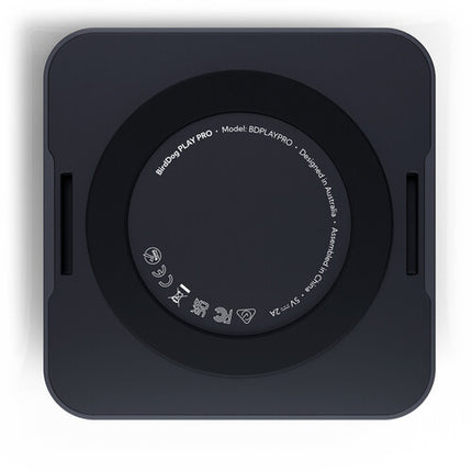 BirdDog PLAY Pro 4K Reproductor NDI UHD 4K60 Gigabit Ethernet PoE