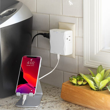 CyberPower P2WUC3 protector contra sobretensiones para hogar y oficina 2 tomas 3 puertos USB-C 30W 500 julios blanco