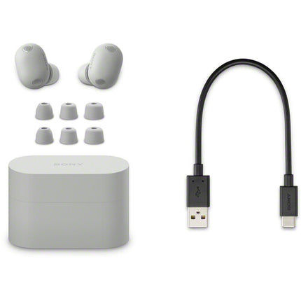Sony WF-1000XM6 Auriculares inalámbricos con cancelación ruido 24h batería Platinum Silver