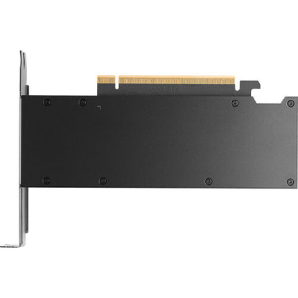 PNY NVIDIA RTX PRO 2000 Tarjeta gráfica 16GB GDDR7 4352 núcleos CUDA