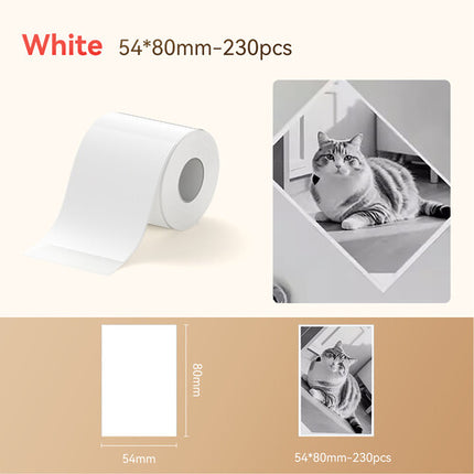 NIIMBOT B21 Pro Rollo de Papel Térmico Etiquetas 100 Unidades 2.1 x 3.1 Pulgadas Blanco