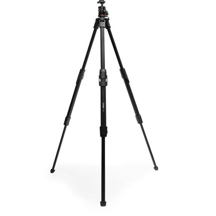 Manfrotto ONE Photo Tripode de Aluminio con Cabeza esférica XPRO capacidad 12 kg altura 10 a 175 cm