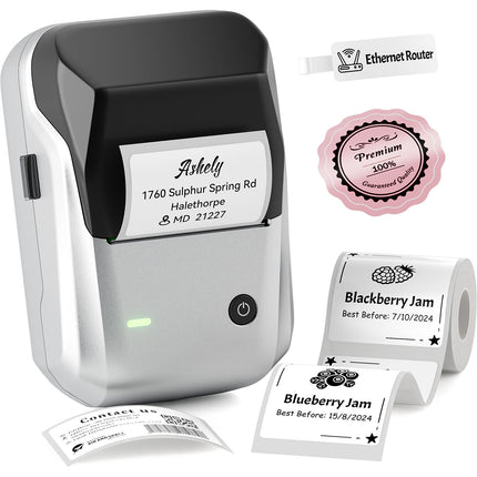 NIIMBOT B1 Impresora térmica portátil 2" 203 dpi Bluetooth plata