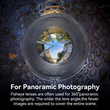 TTArtisan 7.5mm f/2 Lente Ojo de Pez Nikon Z Plata APS-C 4.9" Distancia mínima