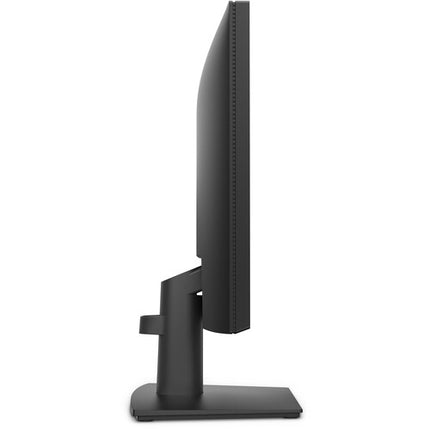 Dell Pro Monitor 20 pulgadas HD+ TN 1600 x 900 100Hz 5ms HDMI DisplayPort