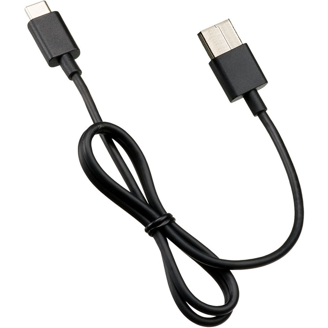 Ricoh Cable USB-C a USB-A 3.2 Gen 1 5 Gb/s Conectores Macho