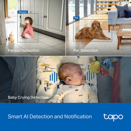 TP-Link Tapo C260 Cámara de Seguridad Interior UHD 4K Pan y Tilt con Visión Nocturna 40 pies 2 Pack