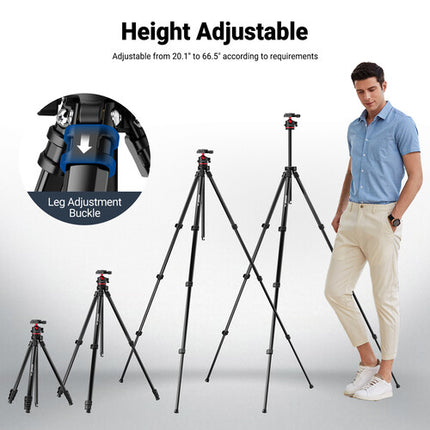 Neewer BASICS TP12 Trípode de Aluminio 66.5" Capacidad 11 lb con Cabezal esférico