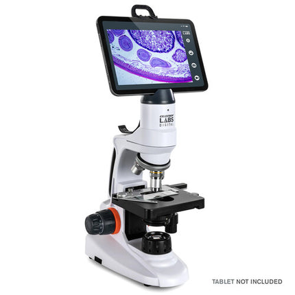 Celestron Microscopio Digital de Escritorio 2MP Wi-Fi 480x y LED