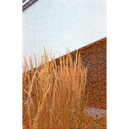 REVOLOG TEXTURE 400 Película negativa color 35mm ISO 400 36 exposiciones efecto burbuja