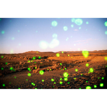 REVOLOG VOLVOX 400 Película negativa color ISO 400 35mm 36 exposiciones