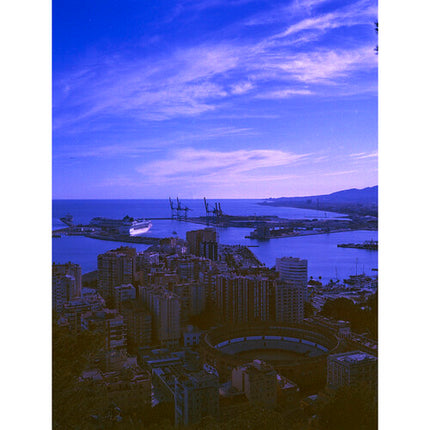 REVOLOG 460nm Película Color Negativo 35mm 36 Exposiciones ISO 200