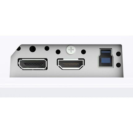 EIZO FlexScan EV2400R Monitor 23.8" Full HD IPS 100 Hz 5ms GtG